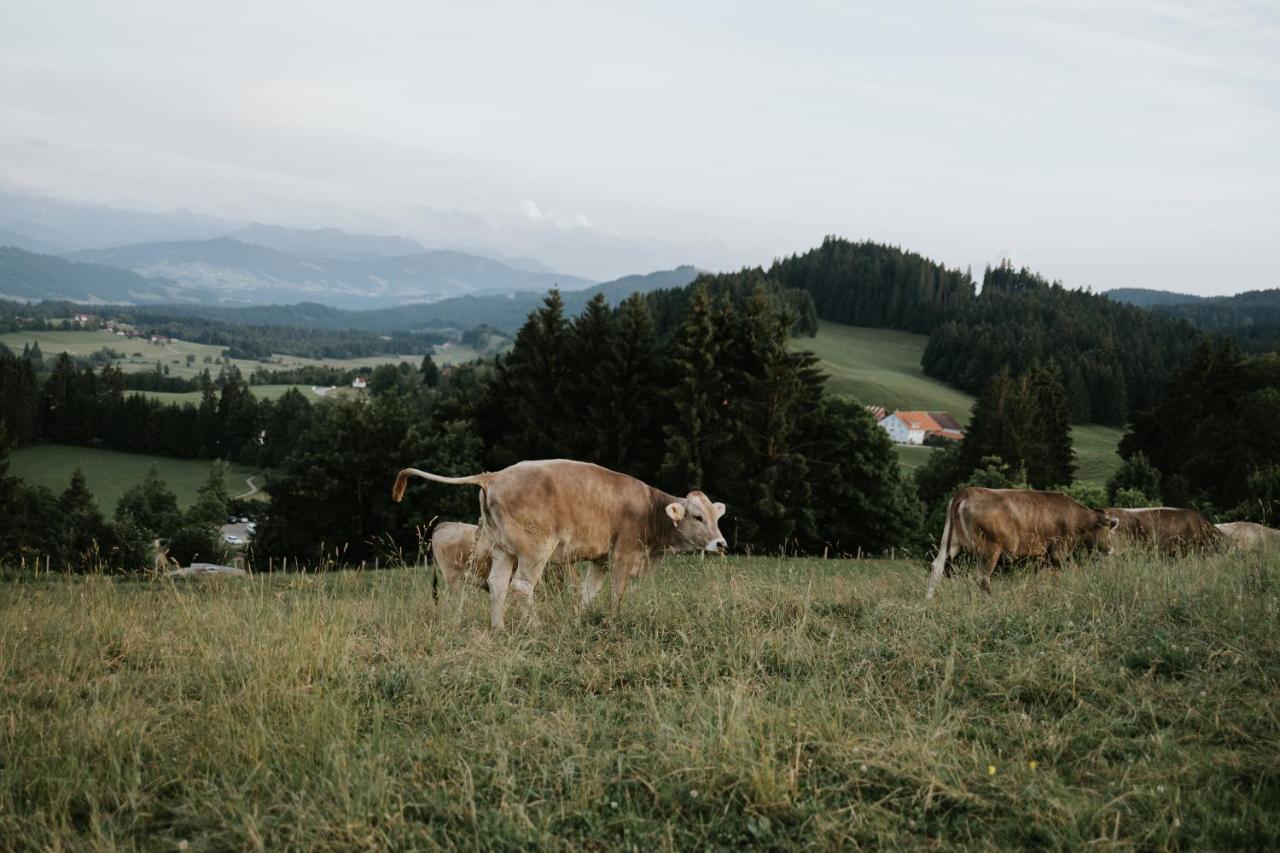 Ferienwohnung Alpenblick I Kamin I Private Sauna 阿尔高的万根 外观 照片